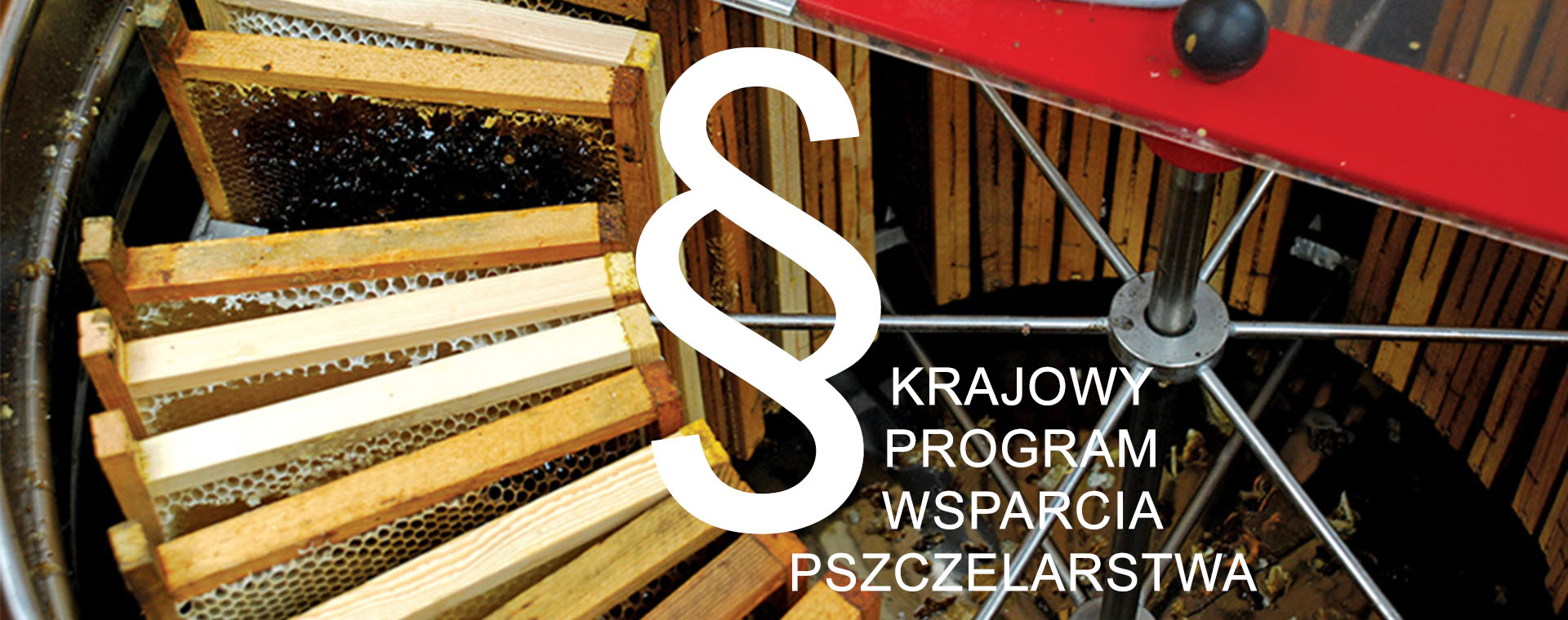 Pomoc dla pszczelarzy do przezimowanych rodzin pszczelich